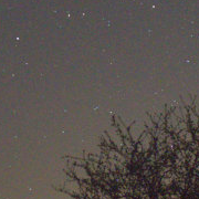 Center reference crop at x 230, y 390, 180 by 180 prepared-image pixels.