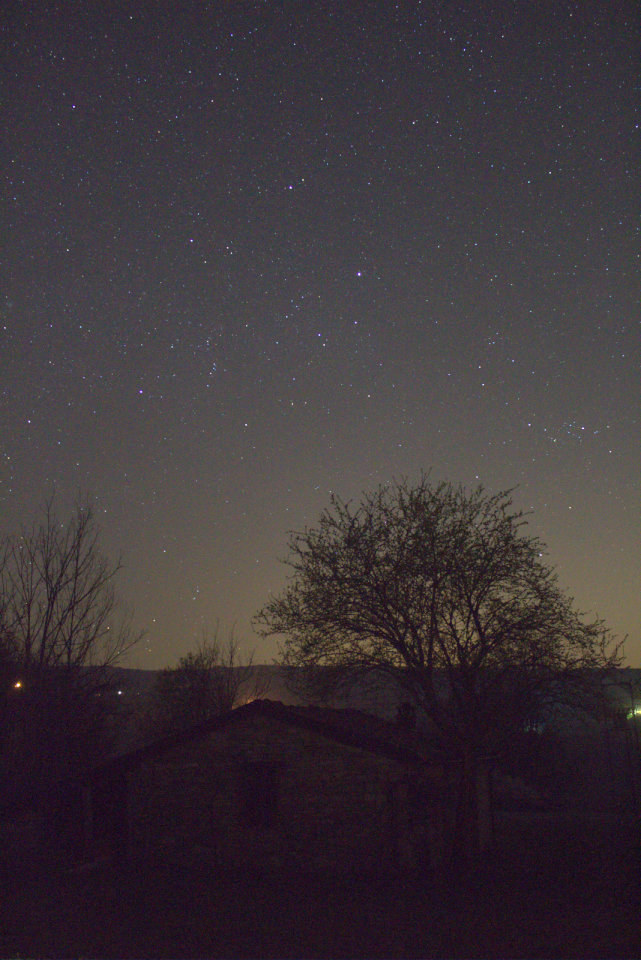 Prepared IMG_0433 reference: real stars above a tree, roof and bright horizon, before stacking.